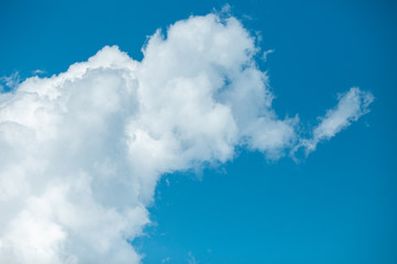 Obraz premium clouds in the sky