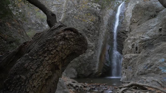 Old tree on a foreground and Gorgeous Troodos Waterfalls on background