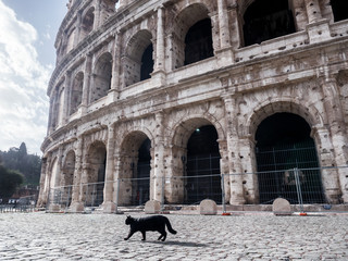 Rome without people. Colosseum without tourists. Pandemic. Deserted streets in Italy