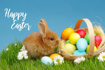 Little Bunny In Basket With Decorated Eggs. Easter Holyday Concept.