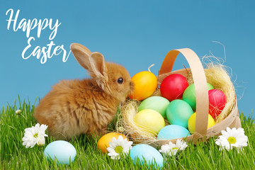 Little Bunny In Basket With Decorated Eggs. Easter Holyday Concept.