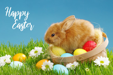 Little Bunny In Basket With Decorated Eggs. Easter Holyday Concept.