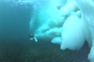 流氷の下を泳ぐ © Daisuke Asai