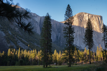 sunset on Forest and mountains at Yosemite, California