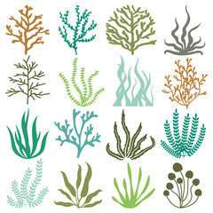 SEAWEED PLANTS VECTOR SET - 335330390