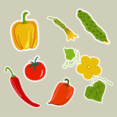 Stickers with vegetables, bell peppers, chili, tomatoes and cucumbers, isolated vector illustration.