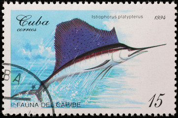 Indo-Pacific sailfish on cuban postage stamp