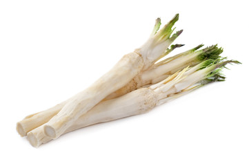 Horseradish root with leaves on white background.