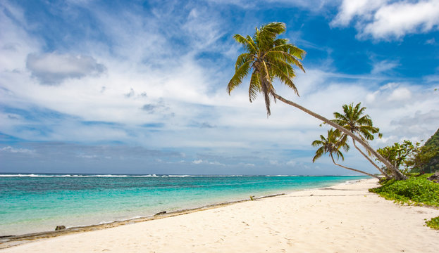 tropical beach with palm trees in the Republich of Samoa, Polynesia