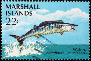 Wahoo on postage stamp of Marshall Islands