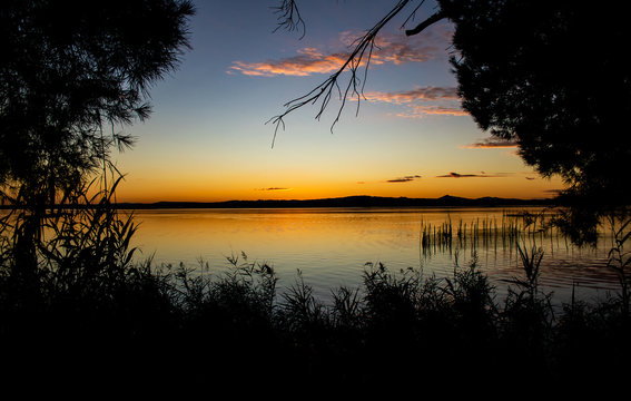 
Sunset in Albufera with traditional fishing net and trees
