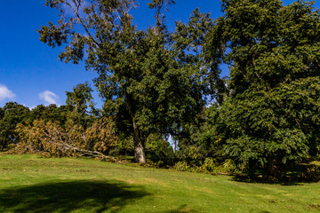 Damage caused to Western Springs Duck Pond after a storm, Auckland, New Zealand