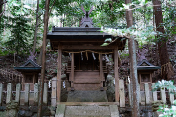 Shrines in Nara, 2020