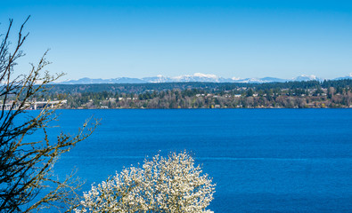 Scenic Lake Washington 4