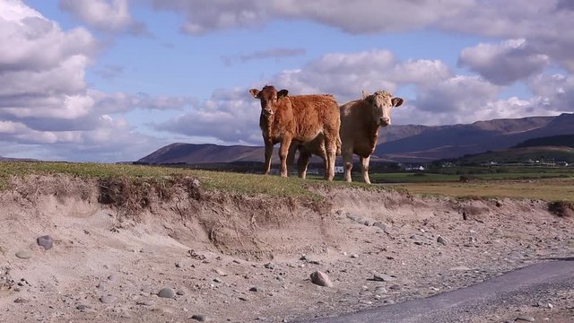 Blicke Images – Browse 1,080 Stock Photos, Vectors, and Video | Adobe Stock