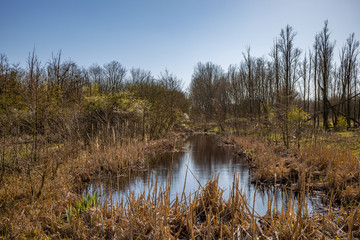 A close up of a pond