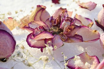 dried rose petals