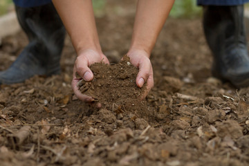 Expert hand of farmer checking soil health before grow a seedling or sowing a seed of vegetable at...
