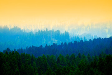 Obrazy na Szkle  Burzowy las w górach Chmury i mgła