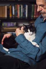 Senior man petting his cat on a sofa