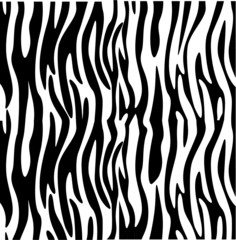 Fototapeta na wymiar Zebra print, animal skin, tiger stripes, abstract pattern, line background, fabric. illustration, poster. Black and white