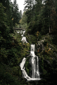 View of Triberg Waterfalls in forest