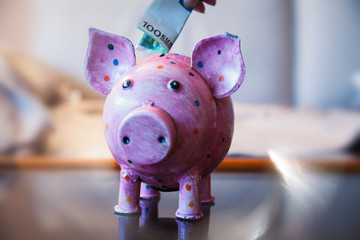 Geld clever Investieren / Sparschwein 100 Euro Schein / Geld sparen und clever investieren