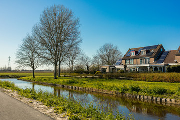 Fototapeta premium Green field graas, dutch landscape countryside in Netherlands