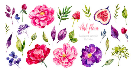 Set of bright blossom flowers. Watercolor botanical illustration. Vintage flower. Flower bouquet. Sketch. Botanic. Green leaves, raspberries, figs, peonies, buds