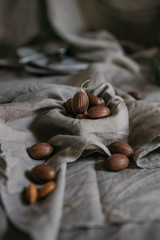 Chocolate Easter eggs on a gray background