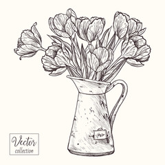 Bouquet of tulips in an old jug. Tulips. Vector collection of hand drawn flowers. Vintage Botanical Flowers.