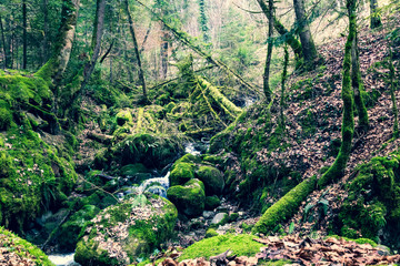 Cascade des Gorges du Chauderon, entre Les Avants et Montreux (Suisse)