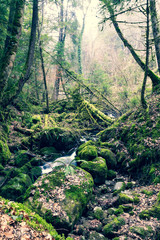 Cascade des Gorges du Chauderon, entre Les Avants et Montreux (Suisse)