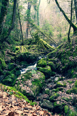 Cascade des Gorges du Chauderon, entre Les Avants et Montreux (Suisse)