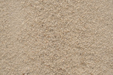 Sand Texture. Sandy For Background