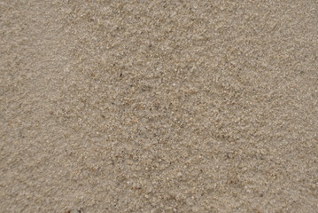 Sand Texture. Sandy For Background