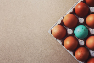 one colored egg standing out amongst group of natural brown eggs, corner of carton with copy space