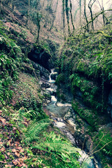 Cascade des Gorges du Chauderon, entre Les Avants et Montreux (Suisse)