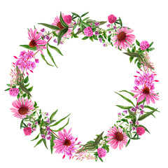 Field pink flowers wreath with echinacea and clover - obrazy, fototapety, plakaty