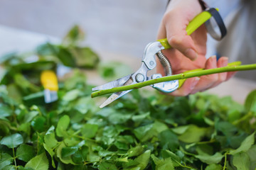 Professional floral artist, florist cutting flower stems at flower shop, workshop - close up view. Floristry, handmade and small business concept