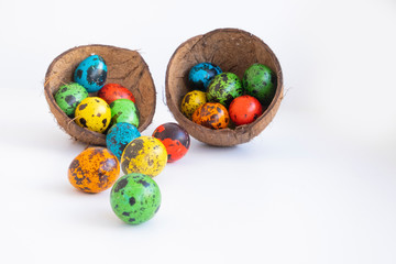 Quail eggs of all bright colors rolled out of the coconut shell.