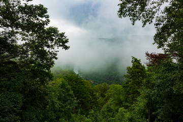Fototapeta na wymiar Fog has encased the New River Gorge in Fayette, West Virginia.