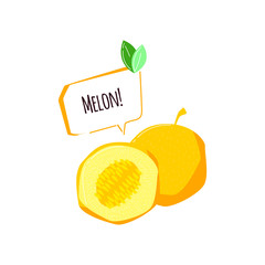 Logo of sweet melon on flat cartoon style. Vector illustration on white background