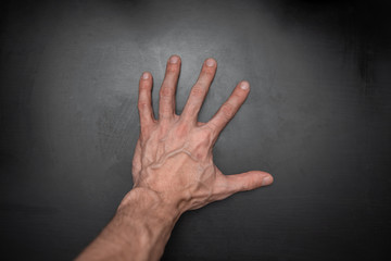 Obraz na płótnie Canvas tense male palm with veins on a black background