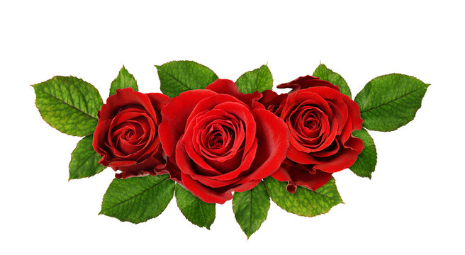 Red rose flowers in a floral arrangement