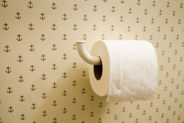 roll of toilet paper on a wall