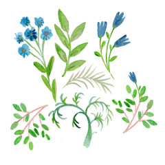 set of flowers and leaves, illustration with plants