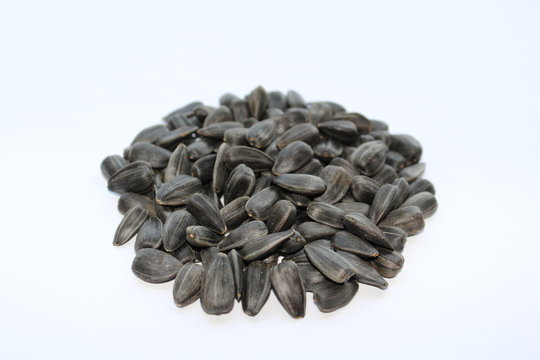 Sunflower Seeds - photo closeup .
Raw materials for the production of vegetable oil.