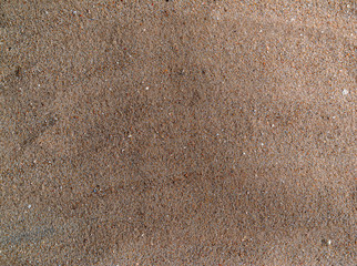 Desert sand texture, background. There is a place for text