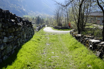 Path of Novalesa in the nature